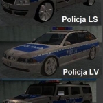 Policja polska